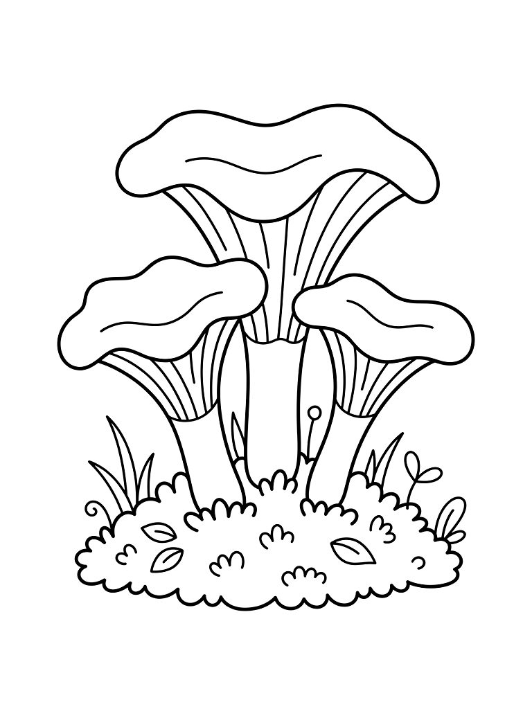 Chanterelle Mushrooms Sprouting From Spring Moss Coloring Page