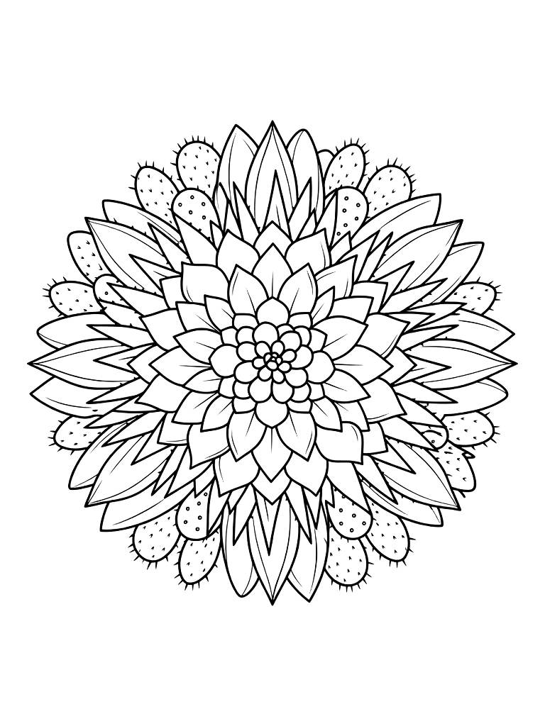 Circular Mandala Design Where Each Layer Is Made Of Different Types Of Succulent Petals And Cactus Shapes Coloring Page