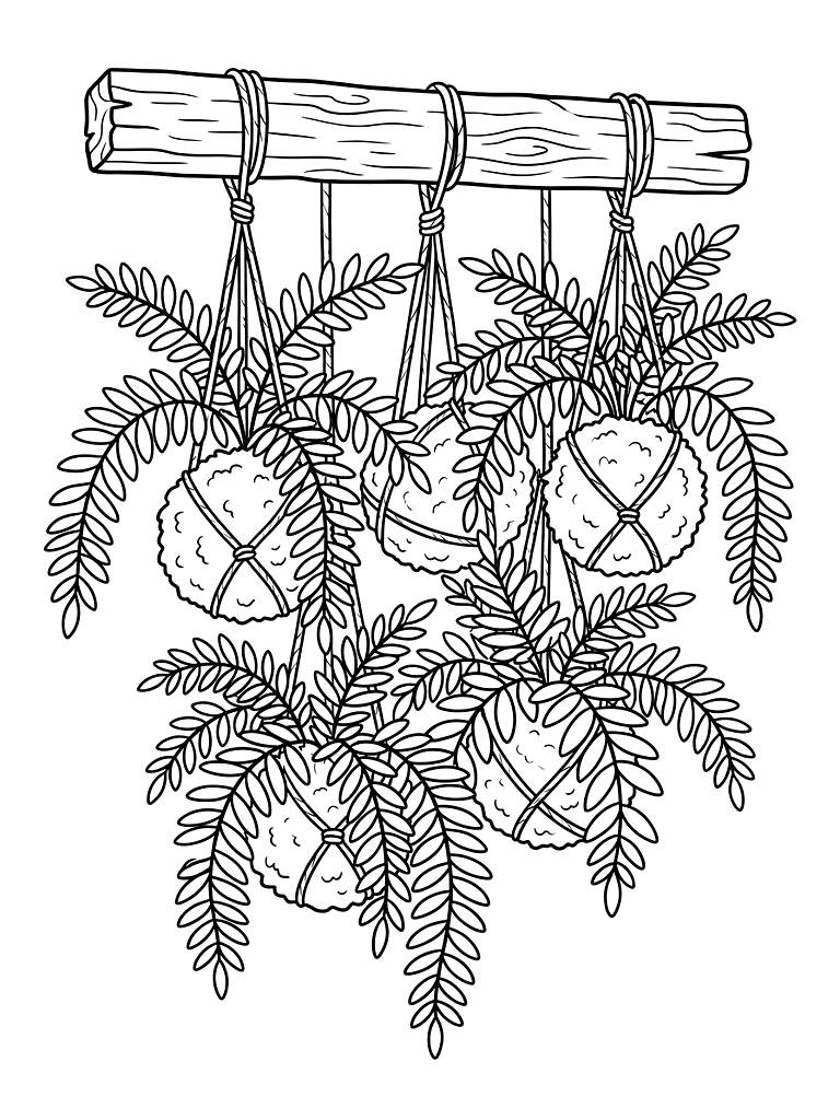 Collection Of Hanging Kokedama Moss Balls Sprouting Lush Trailing Ferns Suspended By Twine From A Rustic Wooden Beam Coloring Page