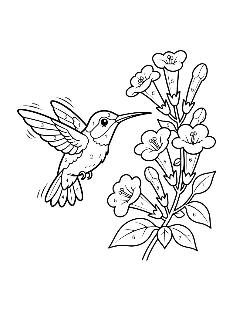 Color By Number Illustration Of A Hummingbird Hovering Near A Cluster Of Tubular Trumpet Vine Flowers Coloring Page