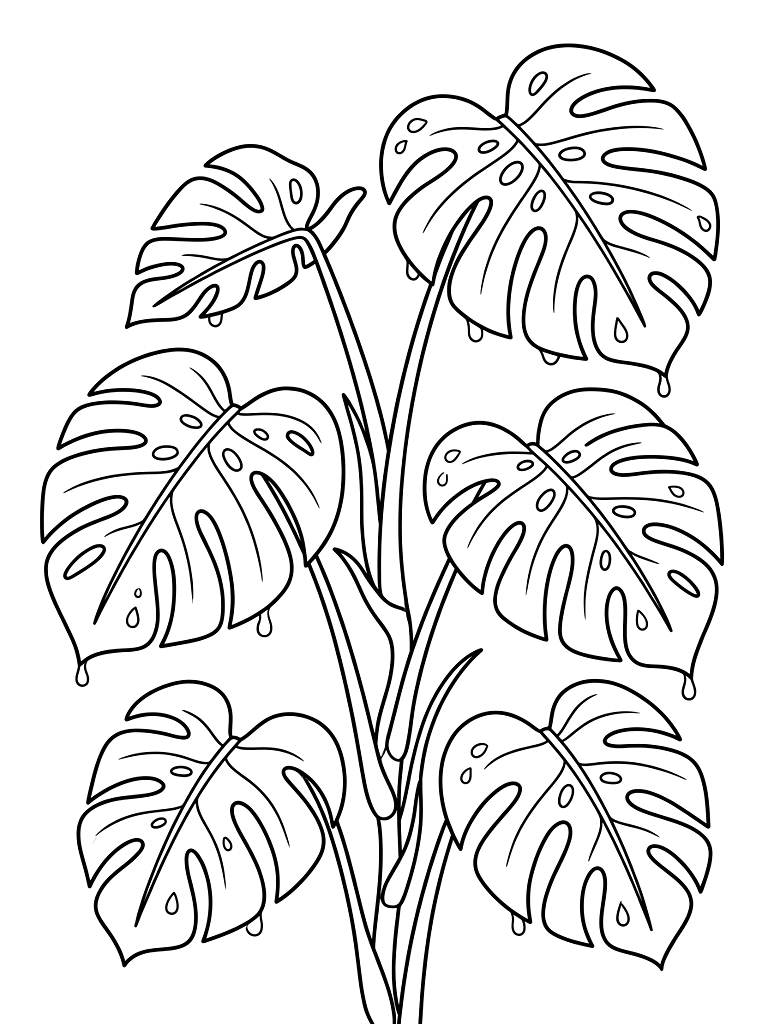 Detailed Monstera Deliciosa Leaves With Morning Dew Coloring Page
