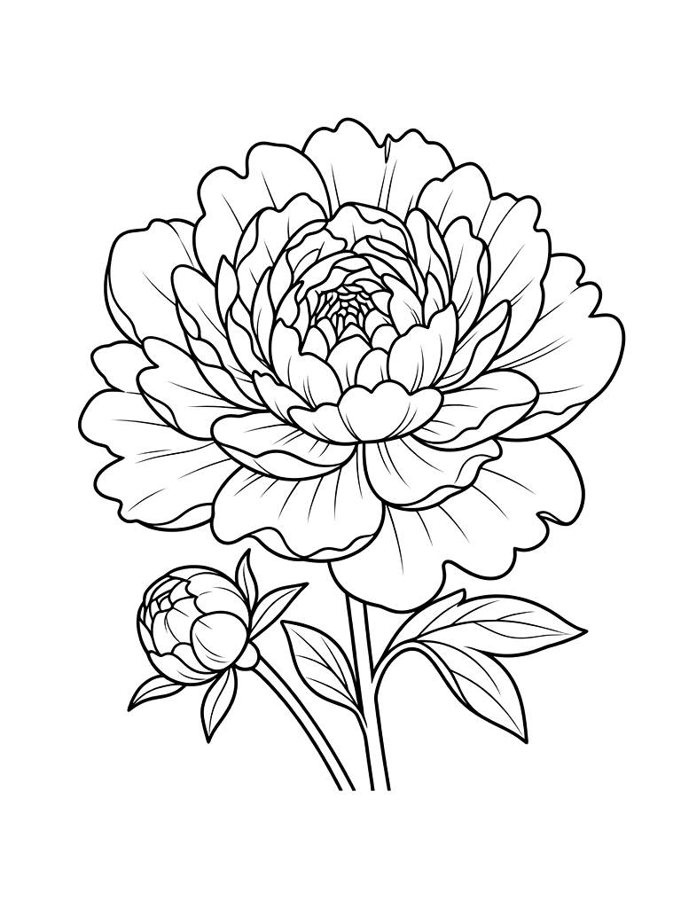 Detailed Peony Bloom With Many Layers Of Petals And A Bud Coloring Page