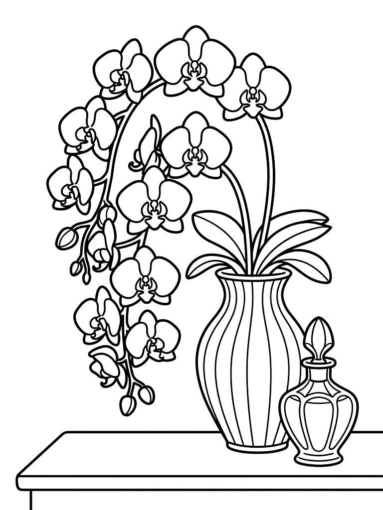 Elegant Cascading Pink Moth Orchid In A Fluted Ceramic Vase Sitting On A Vanity Next To A Vintage Glass Perfume Bottle Coloring Page