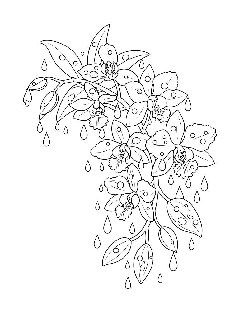 Exotic Blue Vanda Orchid Branch With Tropical Raindrops Coloring Page