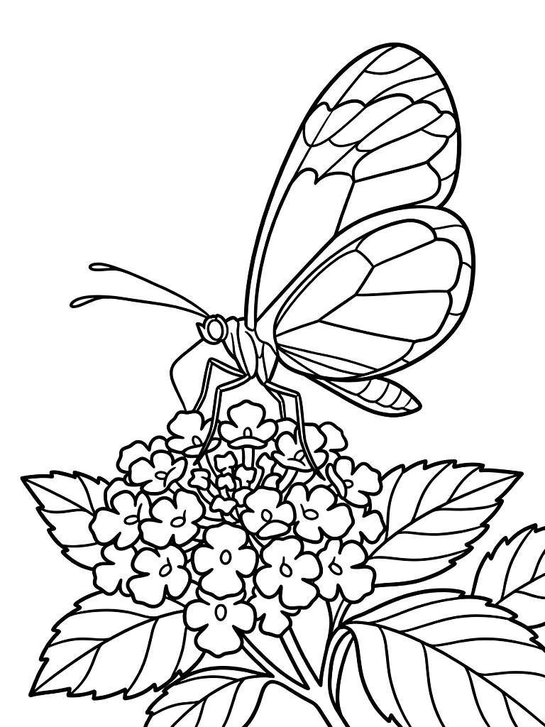 Exquisite Glasswing Butterfly Showcasing Its Delicate Transparent Wings While Resting On A Vibrant Cluster Of Pink Lantana Flowers coloring page — free printable for kids and adults