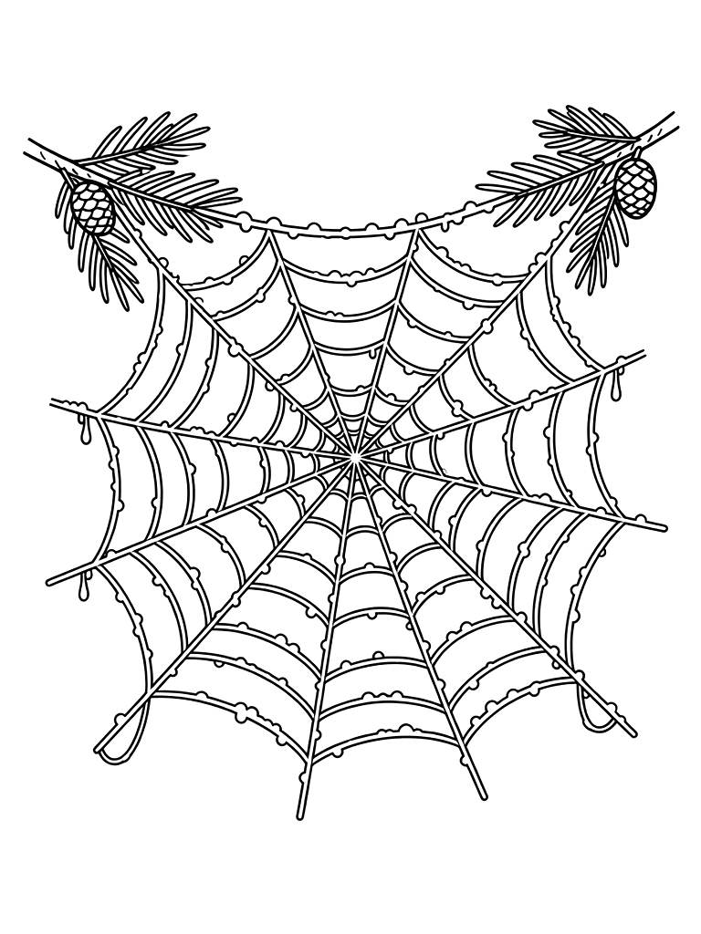 Frost-covered Spiderweb Between Two Pine Branches In The Early Morning Winter Light Coloring Page