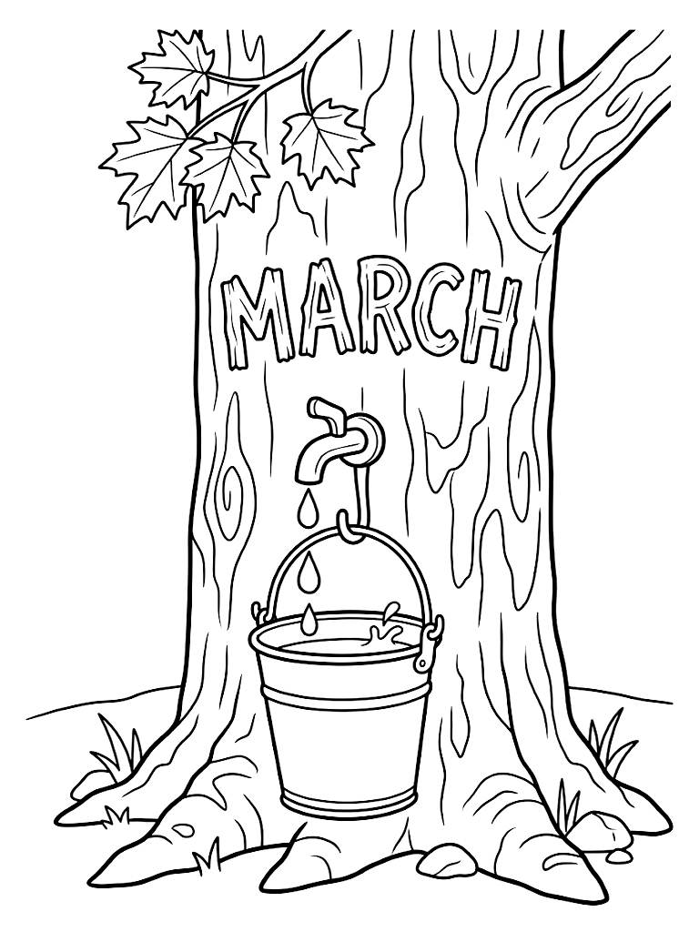March Lettering Carved Into A Wooden Maple Tree Trunk With A Sap Bucket Collecting Fresh Syrup Drops coloring page — free printable for kids and adults