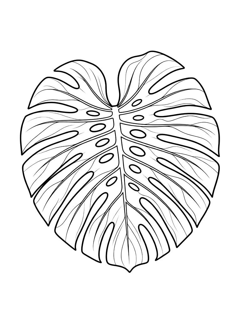 Massive Variegated Monstera Deliciosa Leaf With Intricate White Patterns And Holes Coloring Page — free printable for kids and adults