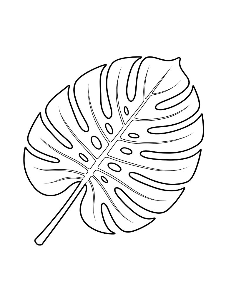 Monstera Deliciosa Leaf Coloring Page
