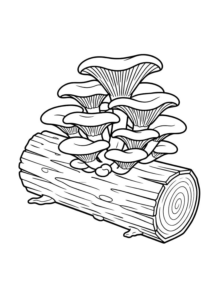 Oyster Mushrooms On Log Coloring Page