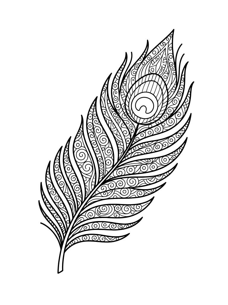 Single Highly Detailed Peacock Feather Filled With Hundreds Of Tiny Swirling Patterns And Shapes Coloring Page