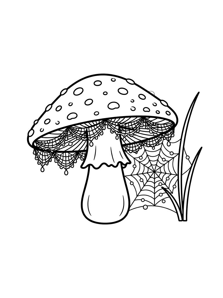 Single Large Amanita Muscaria Mushroom With A Detailed Veil And A Spiderweb Glistening With Dew Between The Cap And A Grass Blade Coloring Page