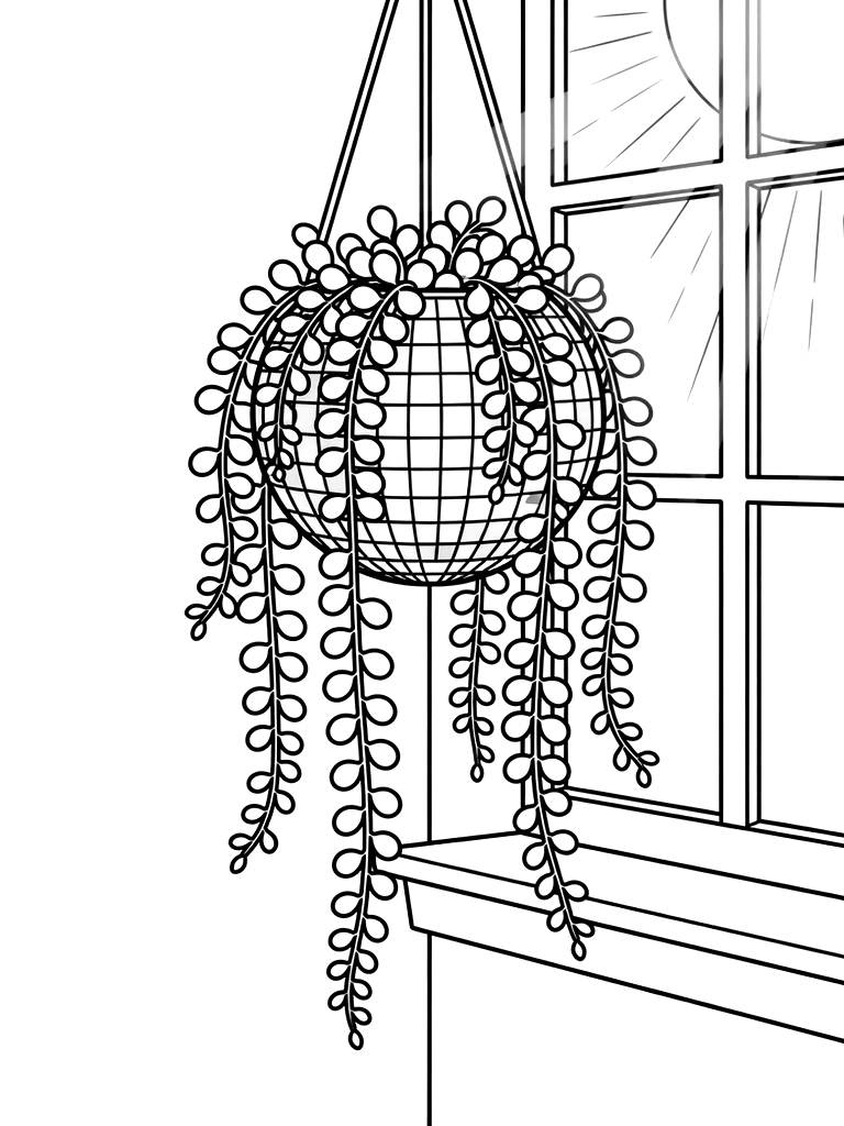 String Of Pearls Succulent Cascading From A Hanging Disco Ball Planter In A Sunny Window Coloring Page — free printable for kids and adults