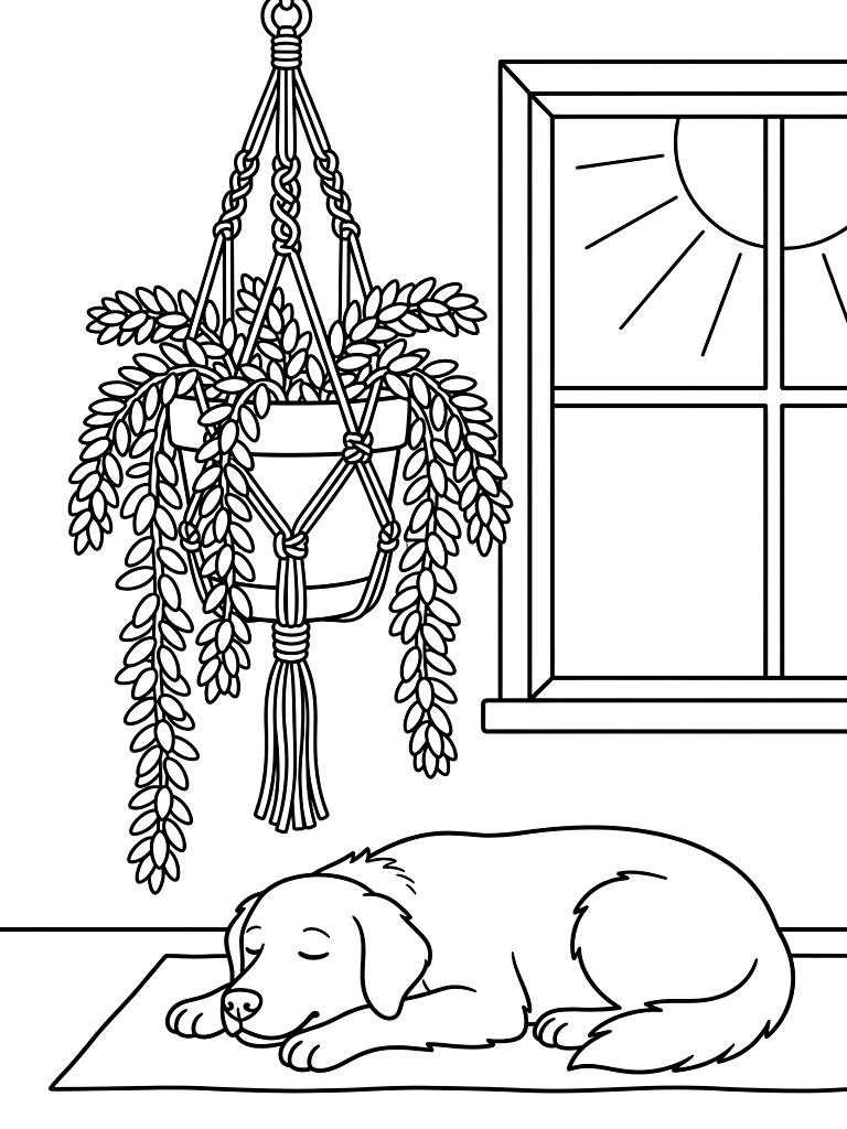 Trailing Burro's Tail Succulent Hanging In An Intricate Macrame Plant Hanger Next To A Sunny Window With A Sleeping Golden Retriever Below coloring page — free printable for kids and adults