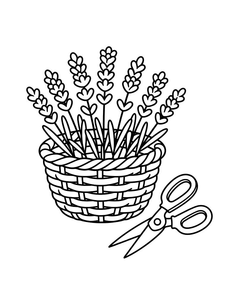 Wicker Basket Full Of Freshly Cut Lavender Sprigs Next To A Pair Of Garden Shears Coloring Page — free printable for kids and adults