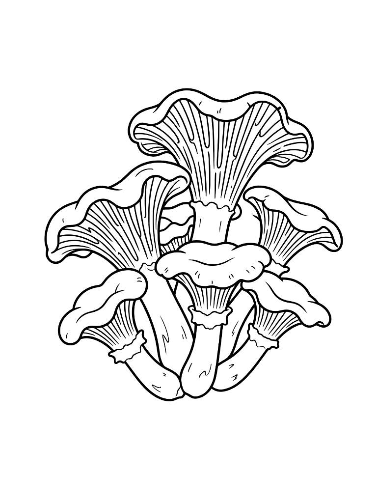 Wild Chanterelle Cluster Coloring Page